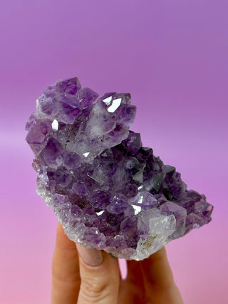 AMETHYST CLUSTER (B) Druze The Crystal Avenues 