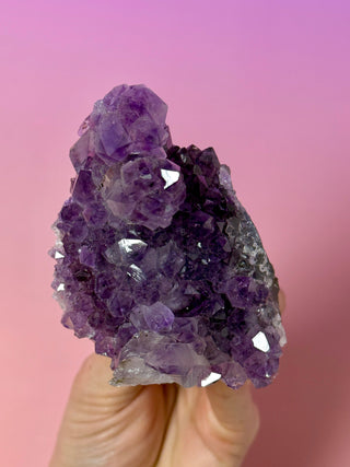 AMETHYST CLUSTER (B) Druze The Crystal Avenues 