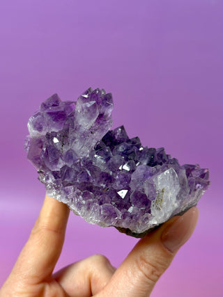 AMETHYST CLUSTER (B) Druze The Crystal Avenues 