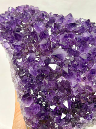 AMETHYST CLUSTER - EXCLUSIVE QUALITY (A) Druze The Crystal Avenues 
