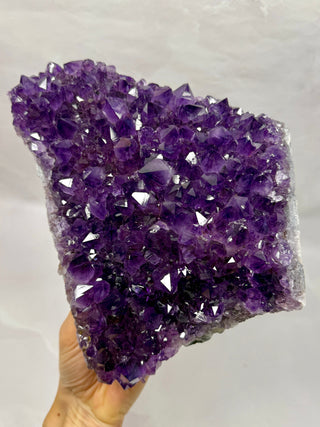 AMETHYST CLUSTER - EXCLUSIVE QUALITY (A) Druze The Crystal Avenues 