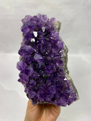 AMETHYST CLUSTER - EXCLUSIVE QUALITY (D) Druze The Crystal Avenues 