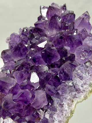 AMETHYST CLUSTER - EXCLUSIVE QUALITY (F) Druze The Crystal Avenues 