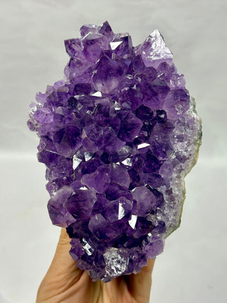 AMETHYST CLUSTER - EXCLUSIVE QUALITY (F) Druze The Crystal Avenues 