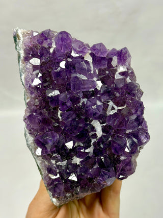 AMETHYST CLUSTER - EXCLUSIVE QUALITY (H) Druze The Crystal Avenues 