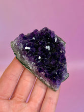 Indlæs billede til gallerivisning AMETHYST CLUSTER - EXTRA QUALITY (3) Druze The Crystal Avenues 
