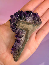 Indlæs billede til gallerivisning AMETHYST CLUSTER - EXTRA QUALITY (4) Druze The Crystal Avenues 
