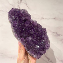 Load image into Gallery viewer, AMETHYST CLUSTER LARGE - EXTRA QUALITY (2) Druze The Crystal Avenues 
