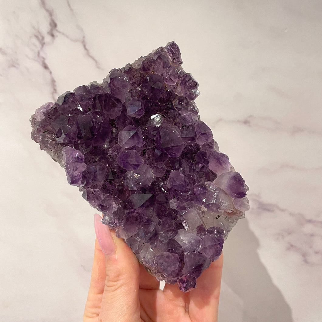 AMETHYST CLUSTER MEDIUM - EXTRA QUALITY (6) Druze The Crystal Avenues 