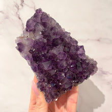 Load image into Gallery viewer, AMETHYST CLUSTER MEDIUM - EXTRA QUALITY (6) Druze The Crystal Avenues 
