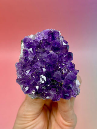 AMETHYST CLUSTER - URUGUAY (1) Druze The Crystal Avenues 