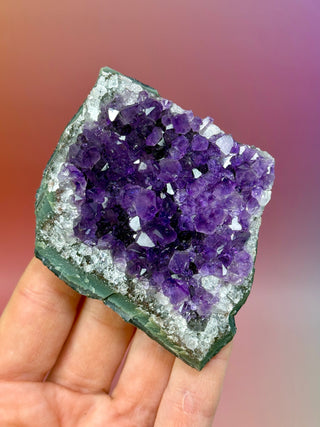 AMETHYST CLUSTER - URUGUAY (4) Druze The Crystal Avenues 