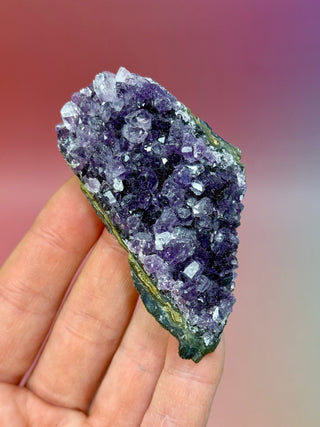 AMETHYST CLUSTER - URUGUAY (6) Druze The Crystal Avenues 