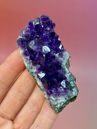 AMETHYST CLUSTER - URUGUAY (7) Druze The Crystal Avenues 