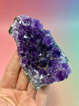 AMETHYST CLUSTER - URUGUAY (A) Druze The Crystal Avenues 