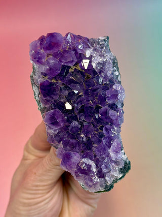 AMETHYST CLUSTER - URUGUAY (A) Druze The Crystal Avenues 