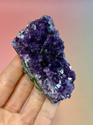 AMETHYST CLUSTER - URUGUAY (B) Druze The Crystal Avenues 