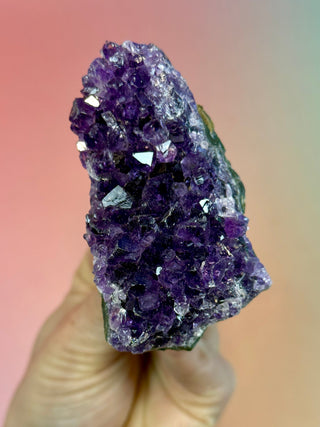 AMETHYST CLUSTER - URUGUAY (B) Druze The Crystal Avenues 