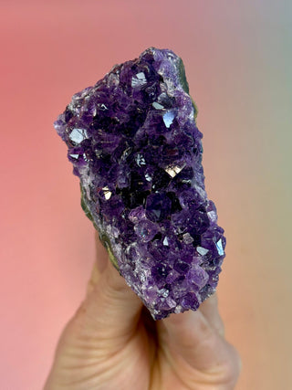 AMETHYST CLUSTER - URUGUAY (B) Druze The Crystal Avenues 