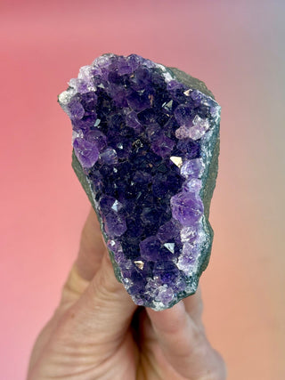 AMETHYST CLUSTER - URUGUAY (E) Druze The Crystal Avenues 