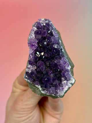 AMETHYST CLUSTER - URUGUAY (E) Druze The Crystal Avenues 
