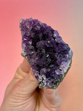 AMETHYST CLUSTER - URUGUAY (F) Druze The Crystal Avenues 