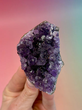 AMETHYST CLUSTER - URUGUAY (F) Druze The Crystal Avenues 