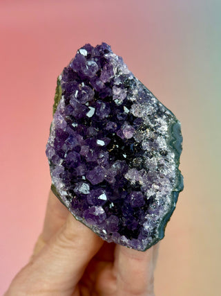 AMETHYST CLUSTER - URUGUAY (G) Druze The Crystal Avenues 