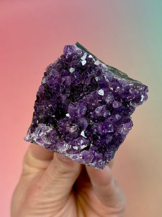 AMETHYST CLUSTER - URUGUAY (H) Druze The Crystal Avenues 