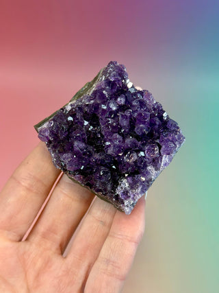 AMETHYST CLUSTER - URUGUAY (H) Druze The Crystal Avenues 