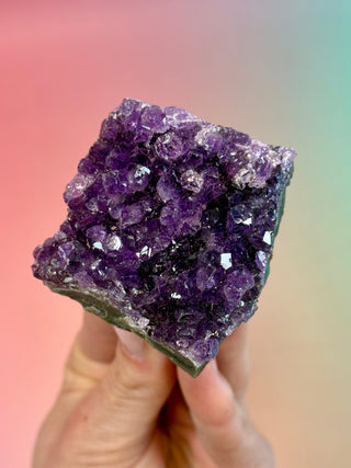 AMETHYST CLUSTER - URUGUAY (H) Druze The Crystal Avenues 