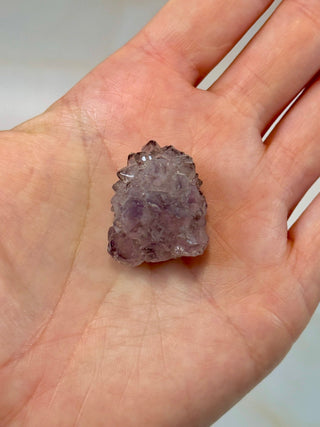 AMETHYST SPIRIT QUARTZ (6) The Crystal Avenues 