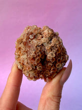 Load image into Gallery viewer, ARAGONITE (5) The Crystal Avenues 
