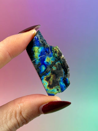 AUTHENTIC SPECTROLITE SLAB - FINLAND (4) tumble stone The Crystal Avenues 