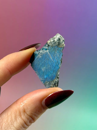 AUTHENTIC SPECTROLITE SLAB - FINLAND (6) tumble stone The Crystal Avenues 