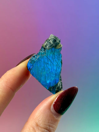 AUTHENTIC SPECTROLITE SLAB - FINLAND (6) tumble stone The Crystal Avenues 