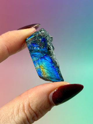 AUTHENTIC SPECTROLITE SLAB - FINLAND (7) tumble stone The Crystal Avenues 