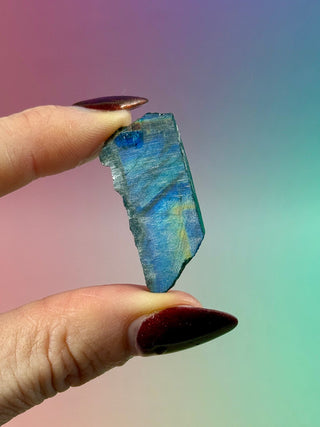 AUTHENTIC SPECTROLITE SLAB - FINLAND (7) tumble stone The Crystal Avenues 