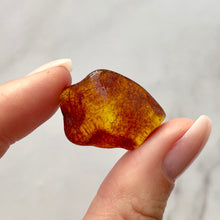 Load image into Gallery viewer, BALTIC AMBER (13) Bracelet The Crystal Avenues 
