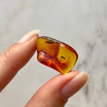 Load image into Gallery viewer, BALTIC AMBER (17) Bracelet The Crystal Avenues 
