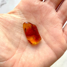 Load image into Gallery viewer, BALTIC AMBER (17) Bracelet The Crystal Avenues 
