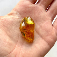 Load image into Gallery viewer, BALTIC AMBER (2) Bracelet The Crystal Avenues 
