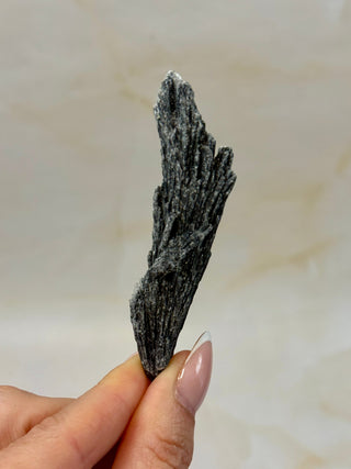 BLACK KYANITE (1) Raw Crystal The Crystal Avenues 