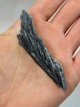BLACK KYANITE (1) Raw Crystal The Crystal Avenues 