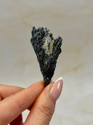 BLACK KYANITE (2) Raw Crystal The Crystal Avenues 