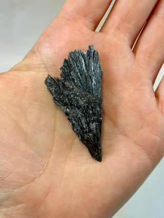 BLACK KYANITE (2) Raw Crystal The Crystal Avenues 