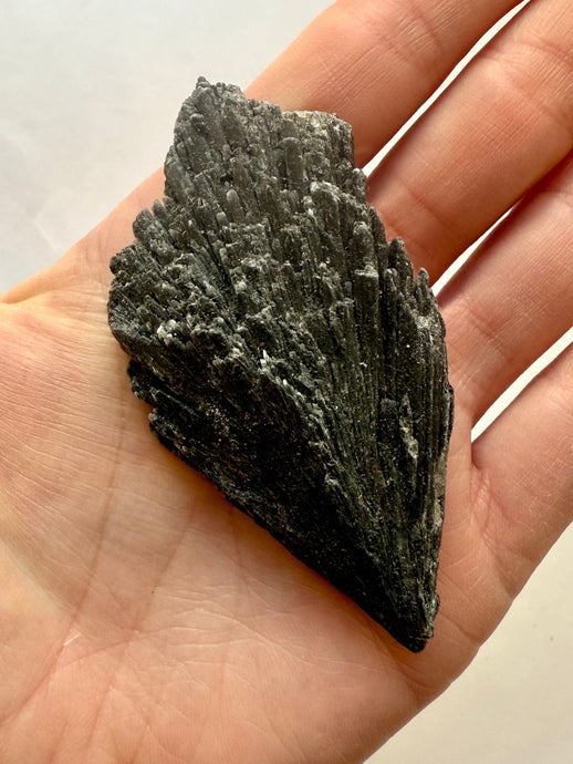 BLACK KYANITE (2) Raw Crystal The Crystal Avenues 