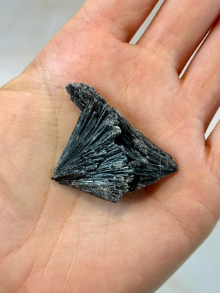 BLACK KYANITE (3) Raw Crystal The Crystal Avenues 