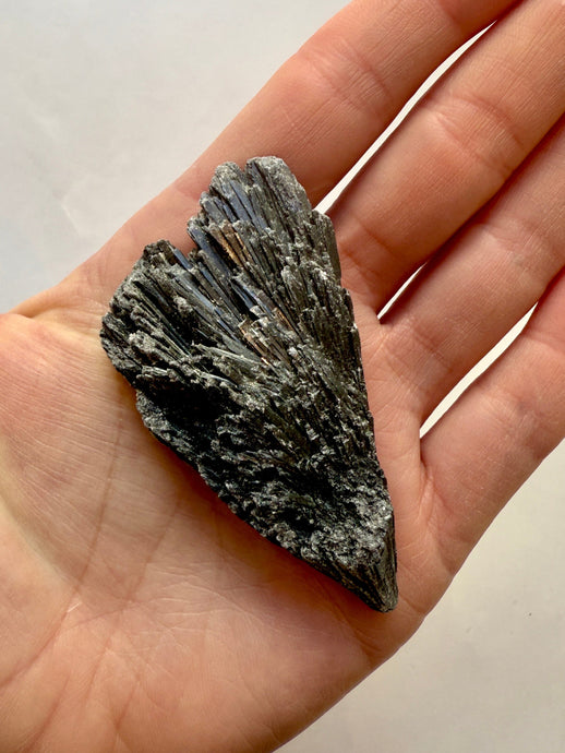 BLACK KYANITE (3) Raw Crystal The Crystal Avenues 