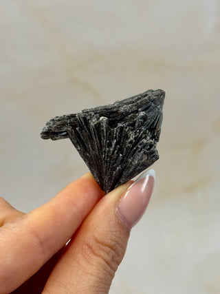 BLACK KYANITE (3) Raw Crystal The Crystal Avenues 